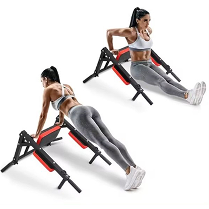 Heavy Duty Wall Mounted Parall - Home Bar And Gym recension och pris